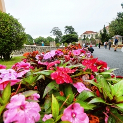 小交通模块 