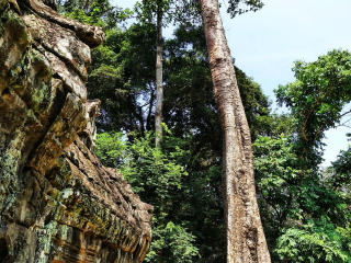 柬埔寨旅游那里去_公司去柬埔寨旅游_春节柬埔寨旅游跟团