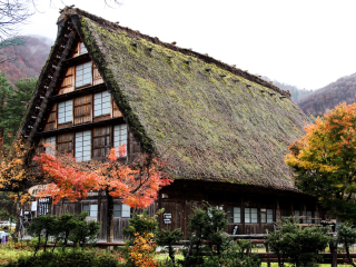 8月日本旅游_旅游團日本_日本旅游多少錢
