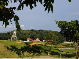 以往國慶泰國清邁游價格_東莞到泰國清邁游_泰國清邁游 旅行團