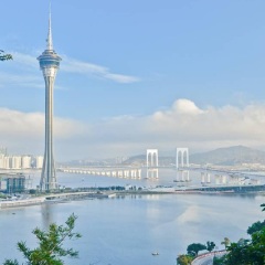 活动模块 