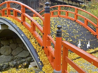 去日本旅游团价格_日本跟团游线路_旅游日本旅游