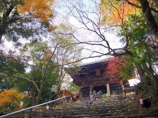 特價(jià)日本大阪游_日本大阪八月份旅游_日本大阪旅行團(tuán)自由行