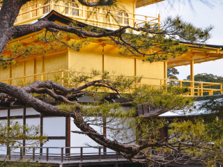 日本旅行團自由行_日本游組團_日本游花多少錢