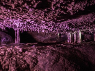 桂林6天游_桂林报团旅游_去桂林旅游得多少钱