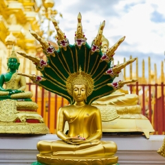 景点模块 