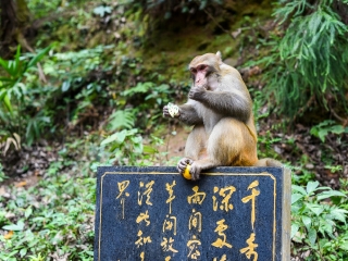 香港旅游團(tuán)湖南張家界_去湖南張家界旅游多少錢_湖南張家界旅游最佳路線