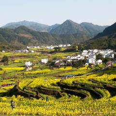 小交通模块 
