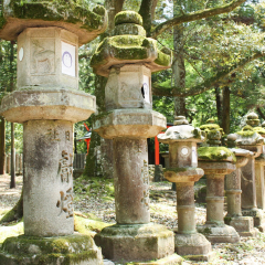 景点模块 