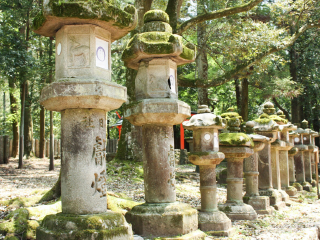 日本大阪旅游價(jià)格多少_怎么去日本大阪旅游_日本大阪自由游價(jià)格多少