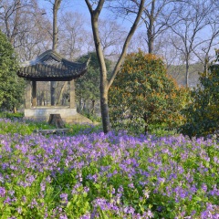景点模块 