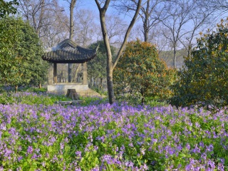 华东旅游行程报价_到华东旅游报团_春节跟团华东旅游