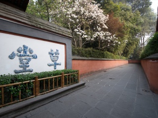 去四川成都旅游要多少錢_特價四川成都游_四川成都組團旅游