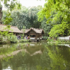 活动模块 