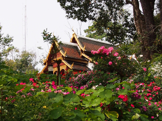 泰國清邁旅游報價_東莞到泰國清邁游_旅游去泰國清邁