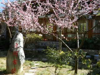 云南香格里拉旅行團_云南香格里拉自由行旅游團_云南香格里拉特價旅游團報價