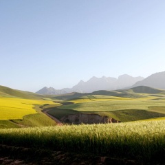 景点模块 
