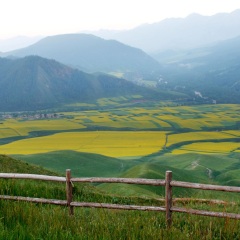 景点模块 