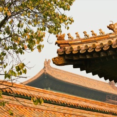 景点模块 
