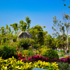景点模块 