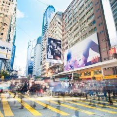 活动模块 