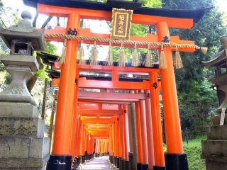 日本十一旅游团_游日本跟团_日本旅行团旅游报价