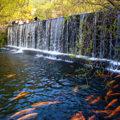 景点模块 