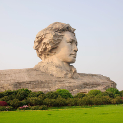 活动模块 