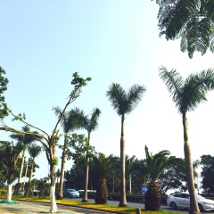 景点模块 