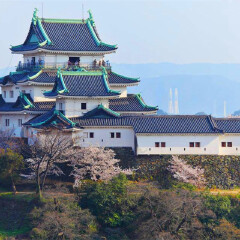 景点模块 