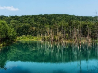 旅行團(tuán)日本游_去日本游怎么省錢_旅游去日本