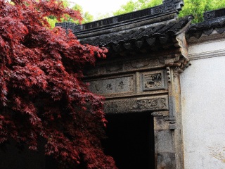 去杭州西湖-乌镇报团多少钱_到杭州西湖-乌镇游跟团_杭州西湖-乌镇旅游需要多少费用