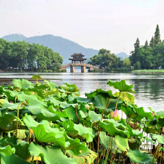 景点模块 