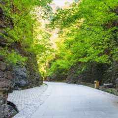 景点模块 