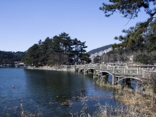 江西婺源游跟團(tuán)_怎么去江西婺源旅游_江西婺源報(bào)團(tuán)旅游多少錢