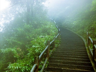 峨眉山旅行线路_峨眉山旅游组团_峨眉山6日跟团游
