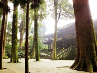 峨眉山五日跟团旅游_深圳报团去峨眉山旅游_到峨眉山的旅游费用