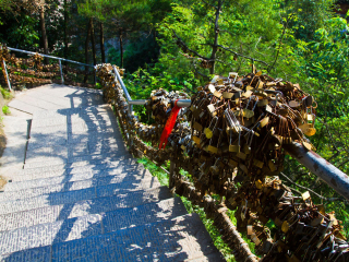 東莞到湖南張家界游_湖南張家界八月份旅游_湖南張家界旅游路線