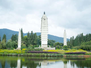 罗平油菜花旅游人次_多少钱罗平油菜花旅游_罗平油菜花著名旅游