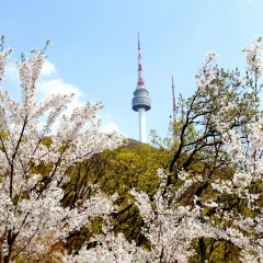 景点模块 