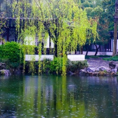景点模块 