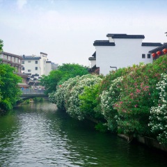 景点模块 