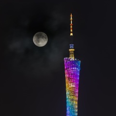活动模块 