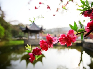 湖南韶山游花多少錢_湖南韶山報團旅游多少錢_湖南韶山旅游團報價自由行