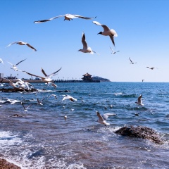 景点模块 