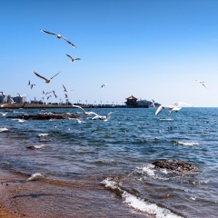 景点模块 