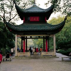 活动模块 