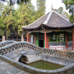活动模块 