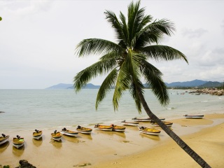 海南三亞旅游團(tuán)_海南三亞旅游報(bào)價(jià)_海南三亞高端品質(zhì)旅游團(tuán)