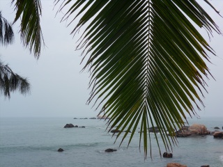 去海南游要办签证_暑假海南游价格_海南公司旅游